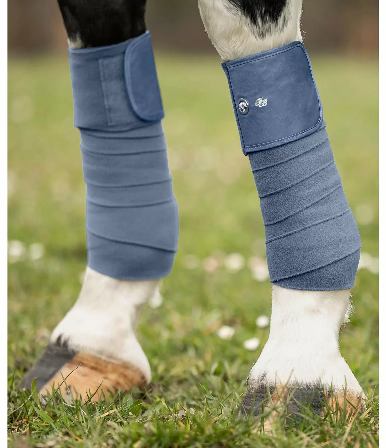Bandes en polaire  Hope