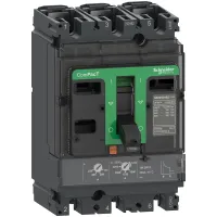 ComPacT NSX250HB2 - disjoncteur - TM-D 125A - 3P3D - 100kA - montage fixe - C25W3TM125