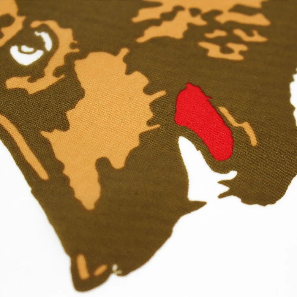 Drapeau Vintage Californie