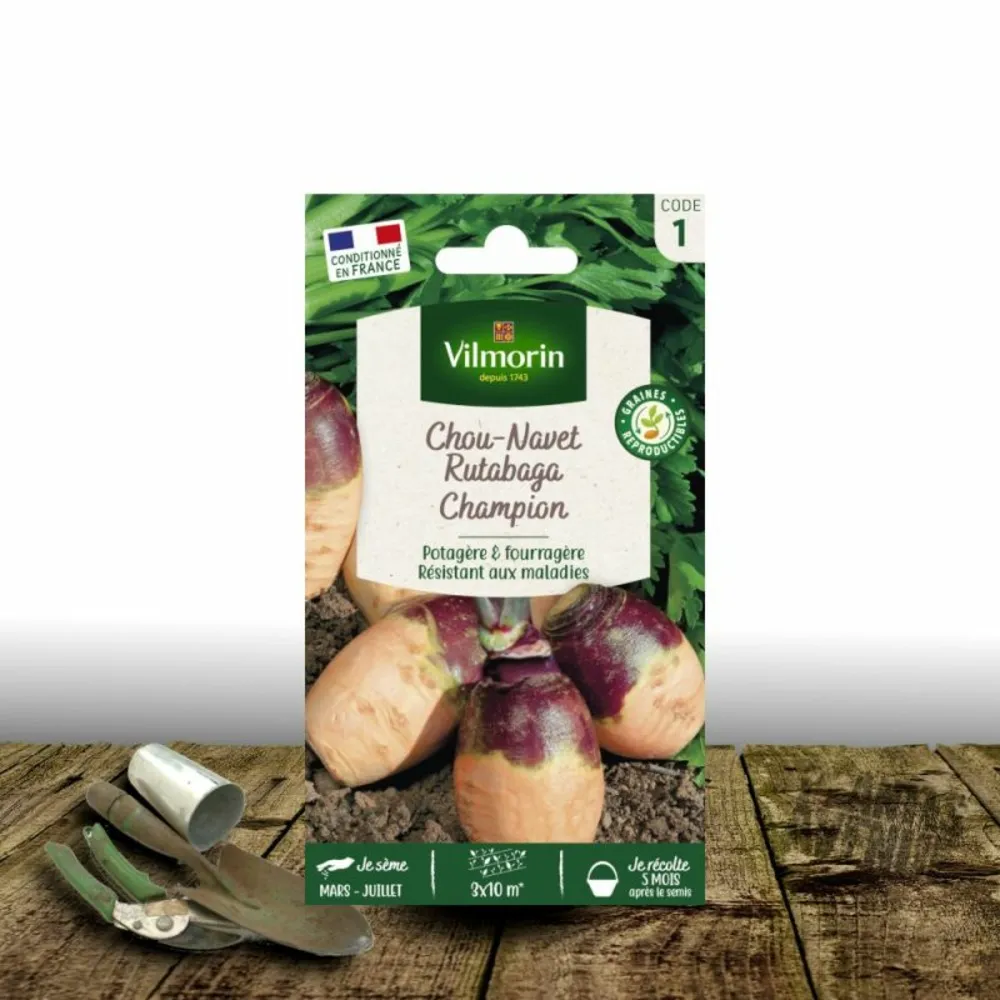 Graines de chou-navet rutabaga champion jaune à collet rouge - vilmorin/[-]sachet