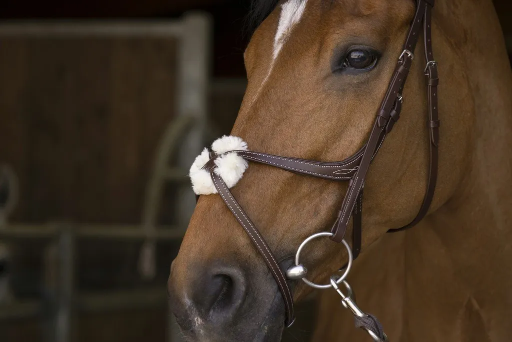 Norton Pro Leather Crossed Noseband Bridle