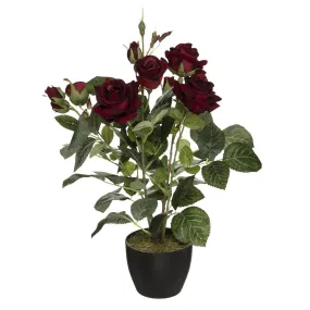 Bordeaux Velvet Rose 43 cm | 3 Suisses
